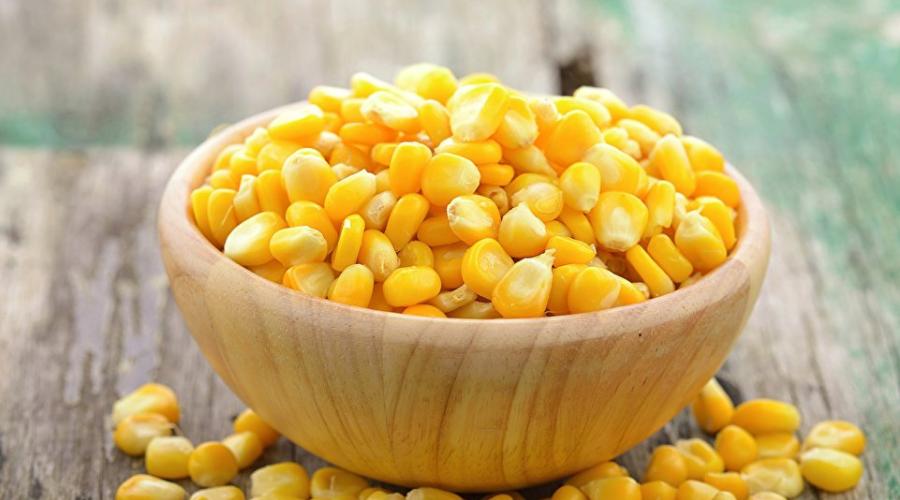 Польза вареной кукурузы в початках для организма. В чем состоит польза и вред кукурузы для здоровья человека? Можно ли беременным вареную кукурузу