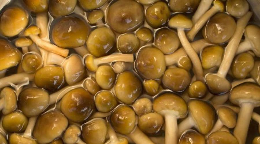 Сколько нужно вымачивать сухие грибы для супа? Сколько времени нужно замачивать сушёные грибы Как замачивать грибы в соленой воде