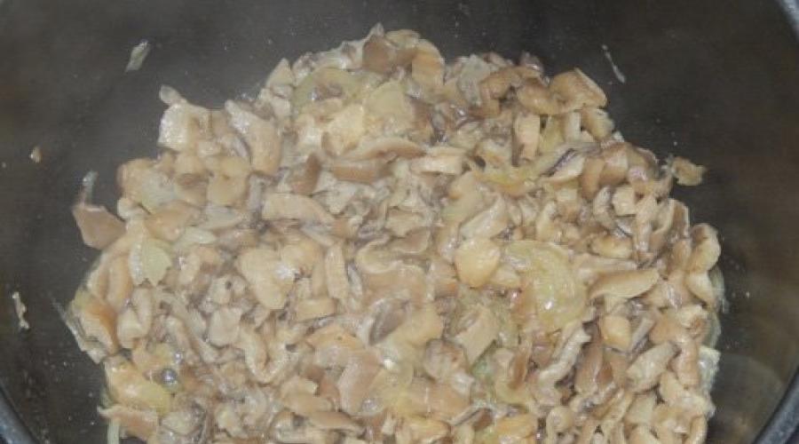 Рецепт тушеной картошки мяса и грибов в мультиварке. Как приготовить жаркое с мясом и грибами в мультиварке Мультиварка редмонд рецепты приготовления грибы с картошкой и мясом